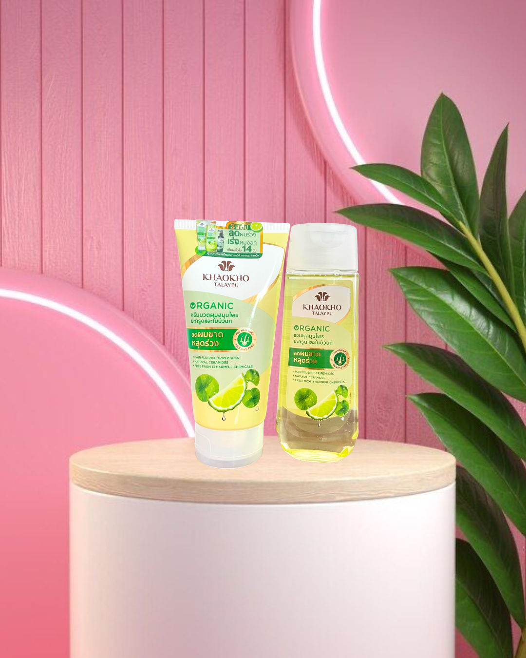 Khaokho Hair Loss Treatment Duo